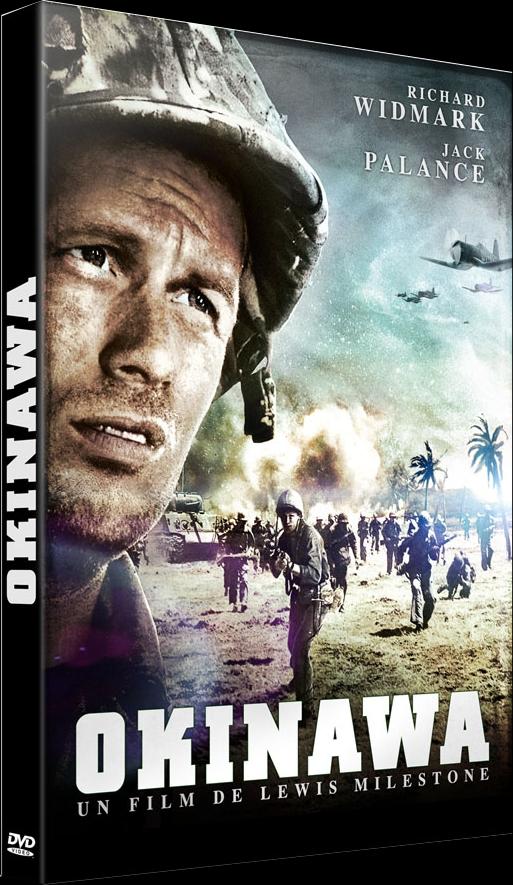 Okinawa [DVD] - flash vidéo