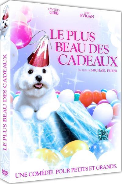 Le Plus Beau Des Cadeaux [DVD] - flash vidéo