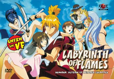Labyrinth Of Flames [DVD] - flash vidéo
