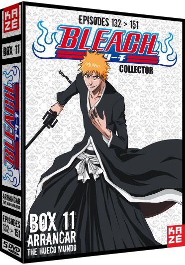 Bleach, Saison 3 [DVD] - flash vidéo