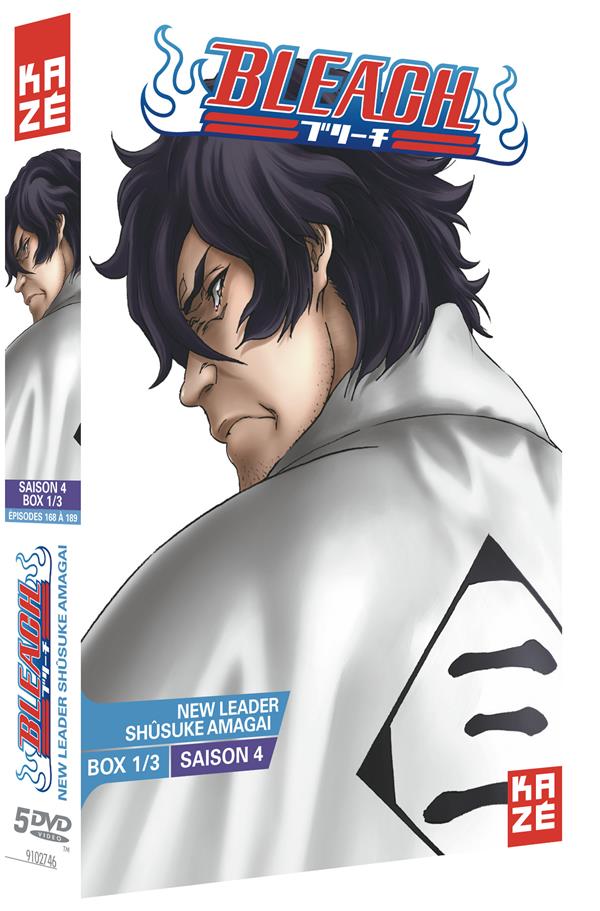 Coffret Bleach, Saison 4, Vol. 1 [DVD] - flash vidéo