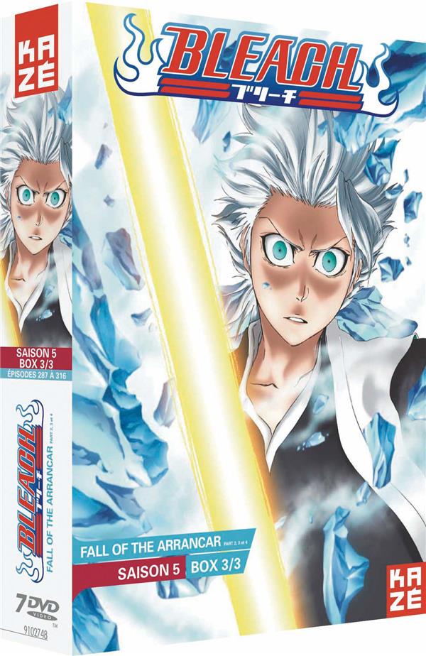 Bleach - Saison 5 : Box 3/3 : Fall of the Arrancar (2ème partie) [DVD] - flash vidéo