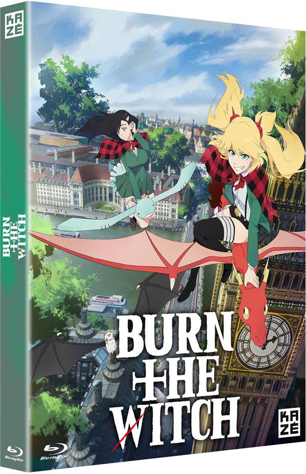 Burn the Witch [Blu-ray] - flash vidéo