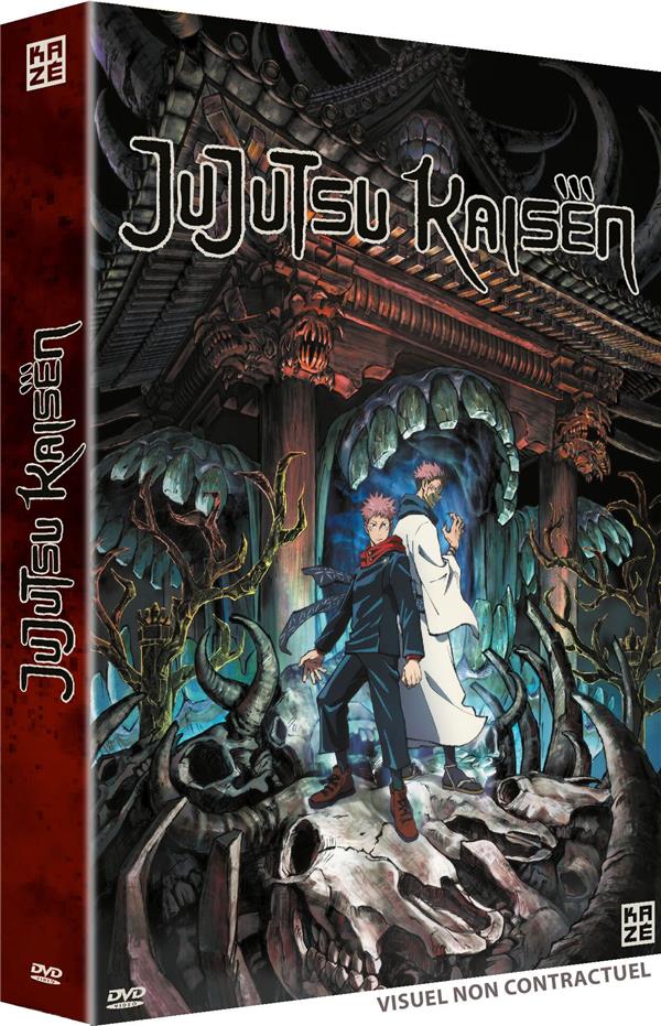 Jujutsu Kaisen - Saison 1 [DVD]