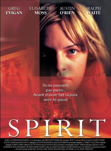 Spirit [DVD] - flash vidéo
