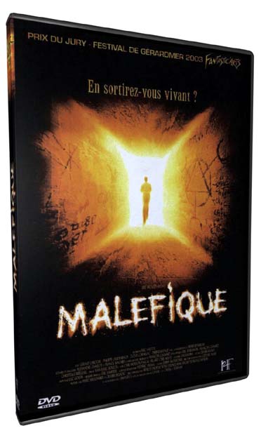 Maléfique [DVD] - flash vidéo