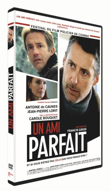 Un Ami Parfait [DVD] - flash vidéo