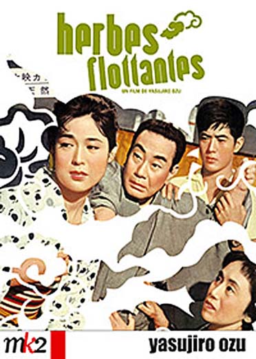 Herbes Flottantes [DVD] - flash vidéo