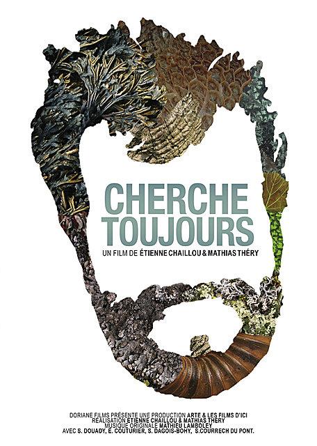 Cherche toujours [DVD] - flash vidéo