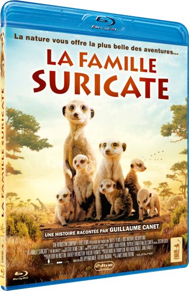 La Famille suricate [Blu-ray] - flash vidéo