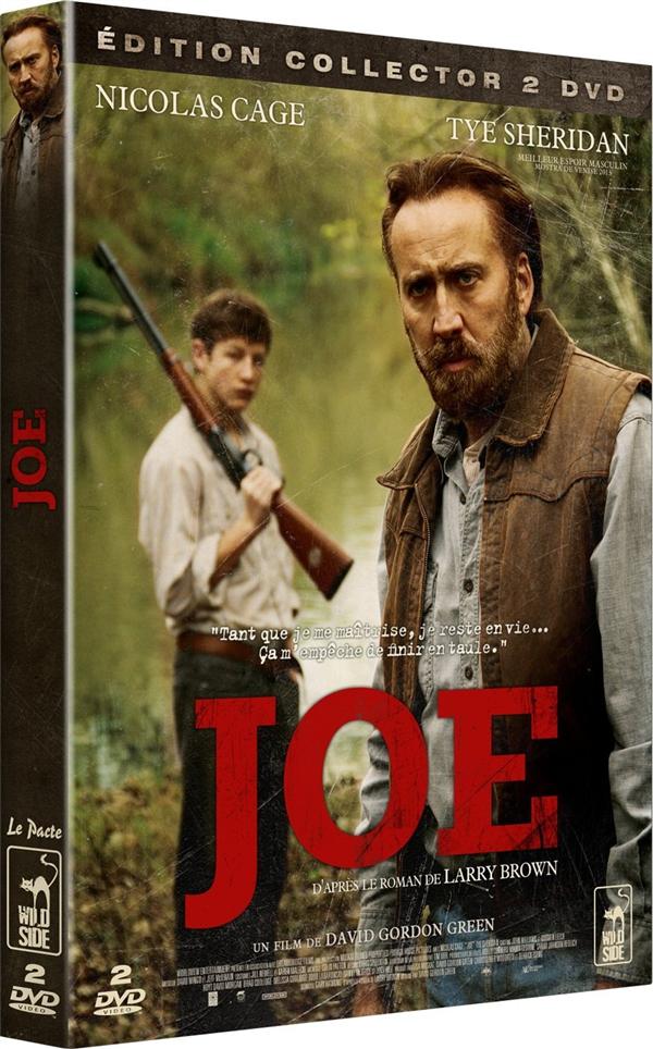 Joe [DVD] - flash vidéo