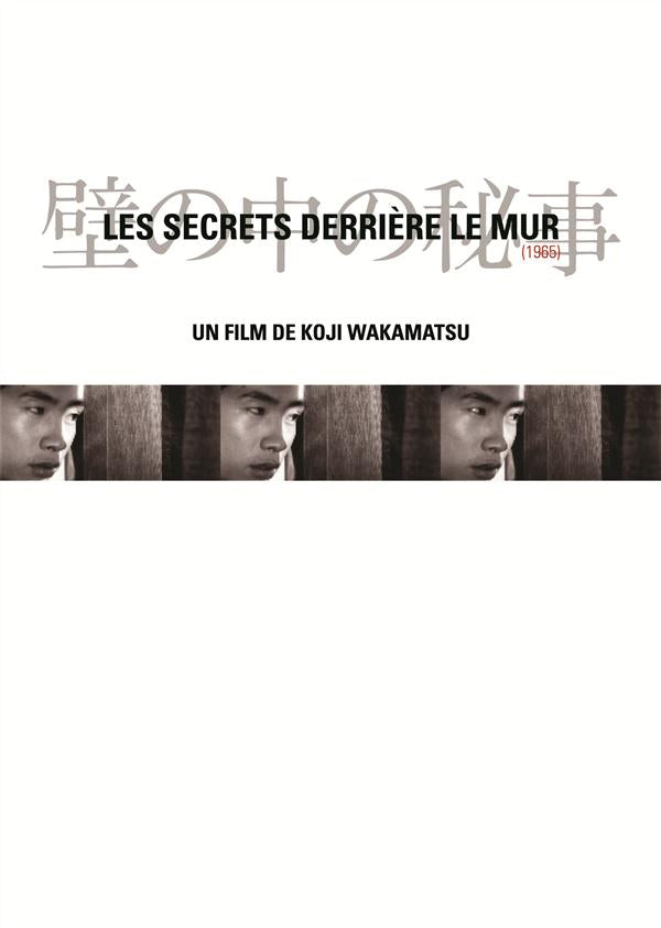 Les Secrets Derrière Le Mur [DVD] - flash vidéo