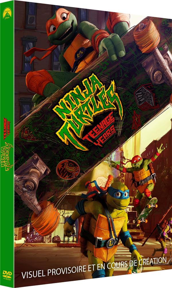 Ninja Turtles : Teenage Years [DVD] - flash vidéo