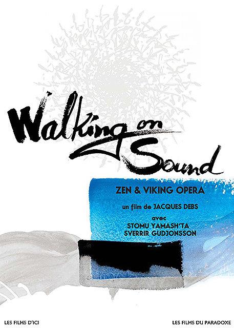 Walking on Sound, Zen & Viking Opera [DVD] - flash vidéo