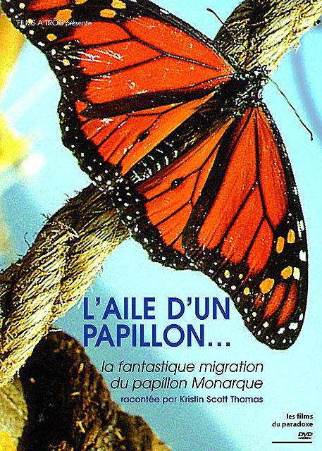 L'Aile d'un papillon... [DVD] - flash vidéo