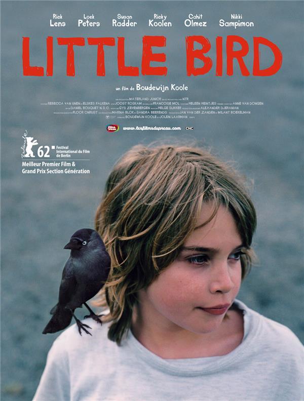 Little Bird [DVD] - flash vidéo