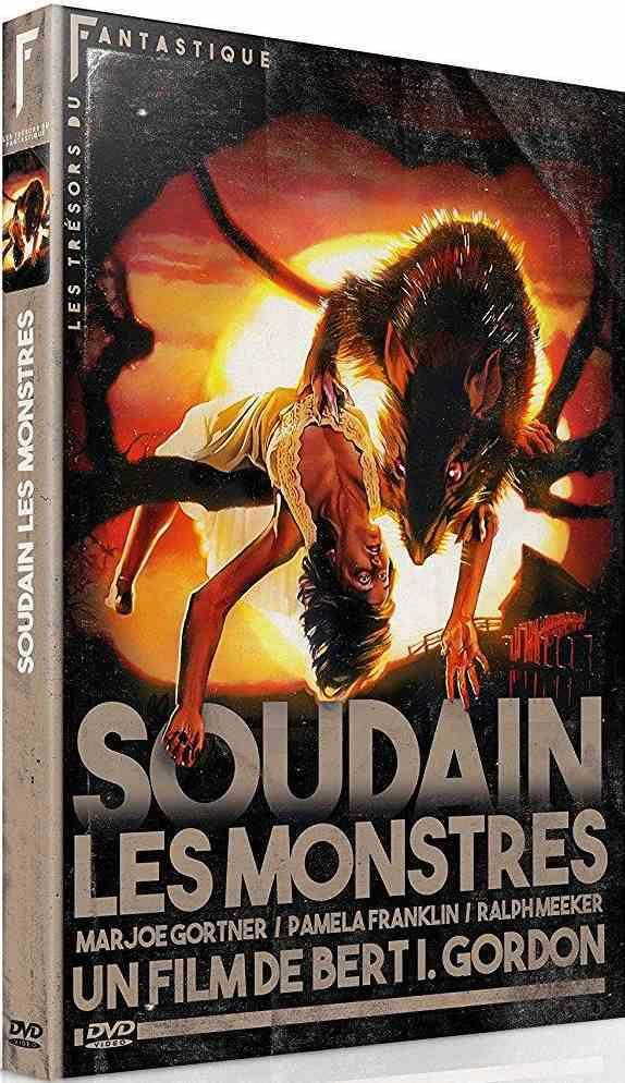 Soudain les monstres [DVD] - flash vidéo