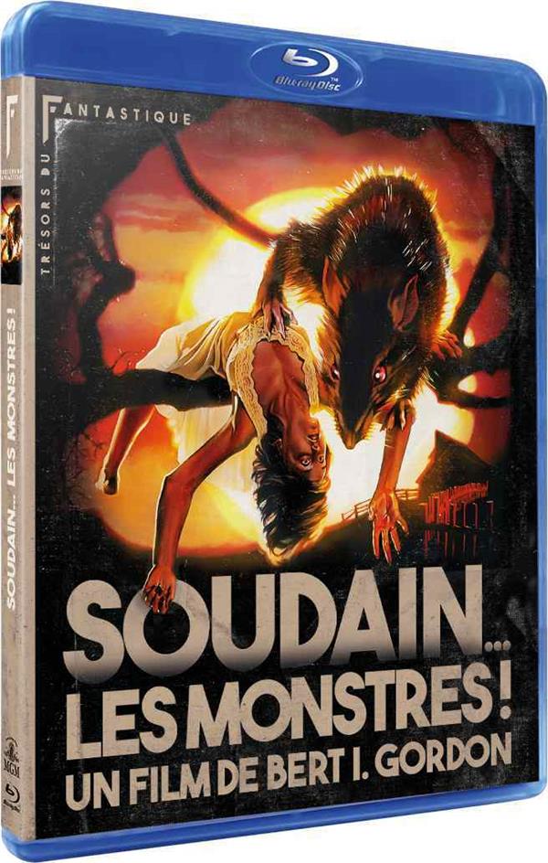 Soudain les monstres [Blu-ray] - flash vidéo