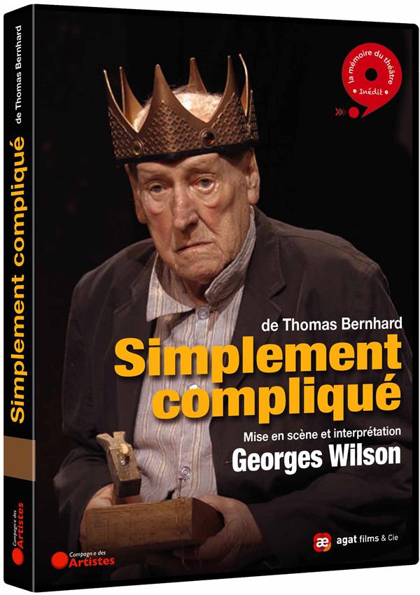 Simplement Compliqué [DVD] - flash vidéo