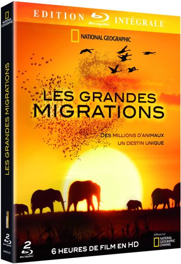 Les Grandes Migrations [DVD] - flash vidéo