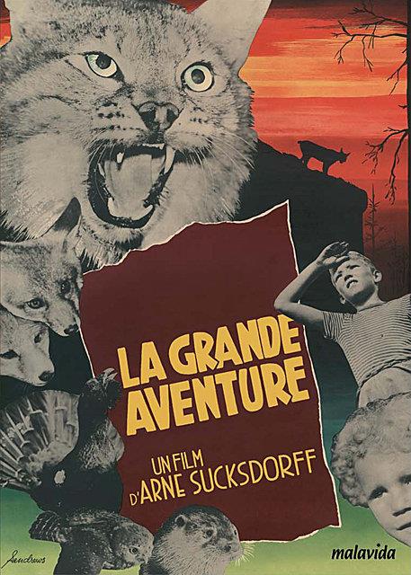 La Grande aventure [DVD] - flash vidéo