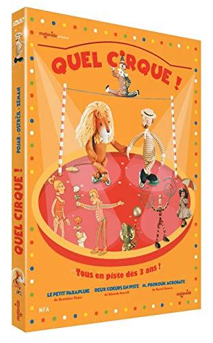 Quel cirque ! [DVD] - flash vidéo