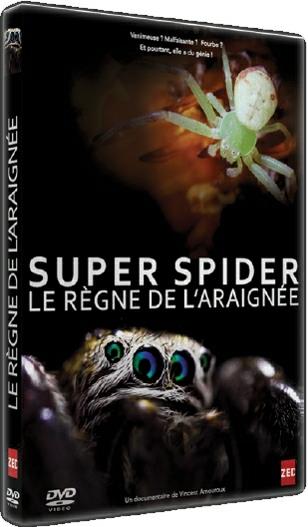Super Spider, Le Règne De L'araignée [DVD] - flash vidéo