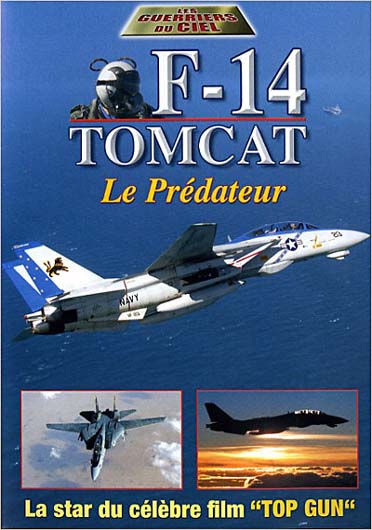 F-14 Tomcat [DVD] - flash vidéo