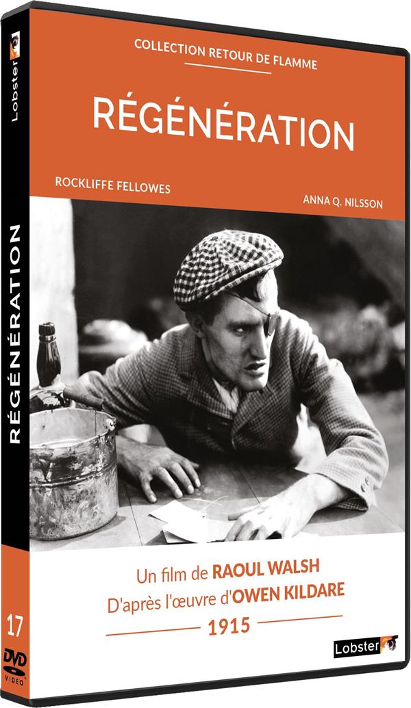 Régénération [DVD] - flash vidéo