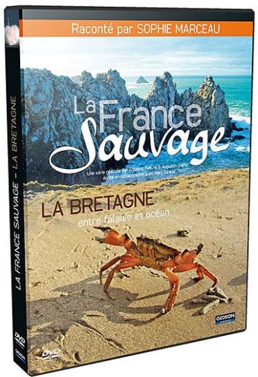 La France Sauvage : Bretagne, Entre Falaise Et Ocean [DVD] - flash vidéo