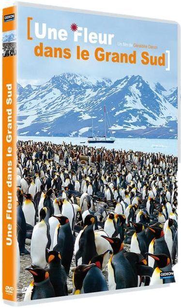 Une Fleur Dans Le Grand Sud [DVD] - flash vidéo