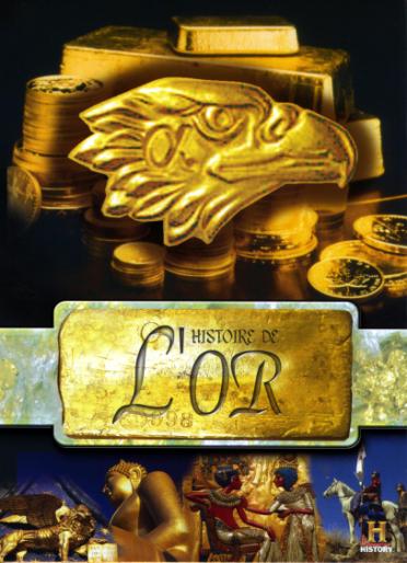 Histoire De L'or [DVD] - flash vidéo