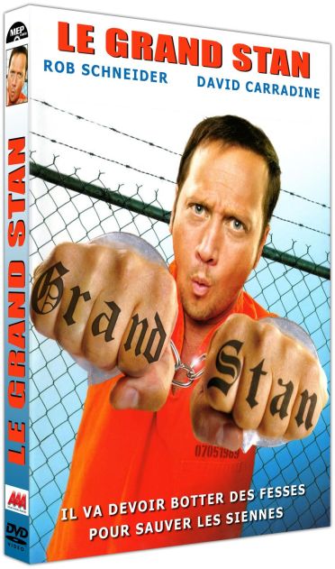 Le Grand Stan [DVD] - flash vidéo