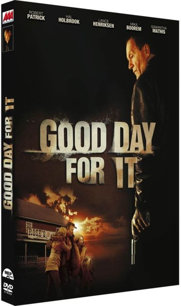 Good Day For It [DVD] - flash vidéo