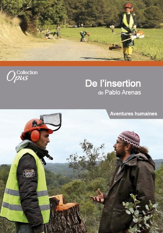 De l'insertion [DVD] - flash vidéo