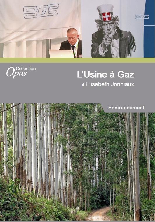 L'usine à gaz [DVD] - flash vidéo