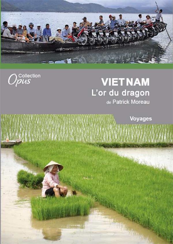 Vietnam, l'or du dragon [DVD] - flash vidéo