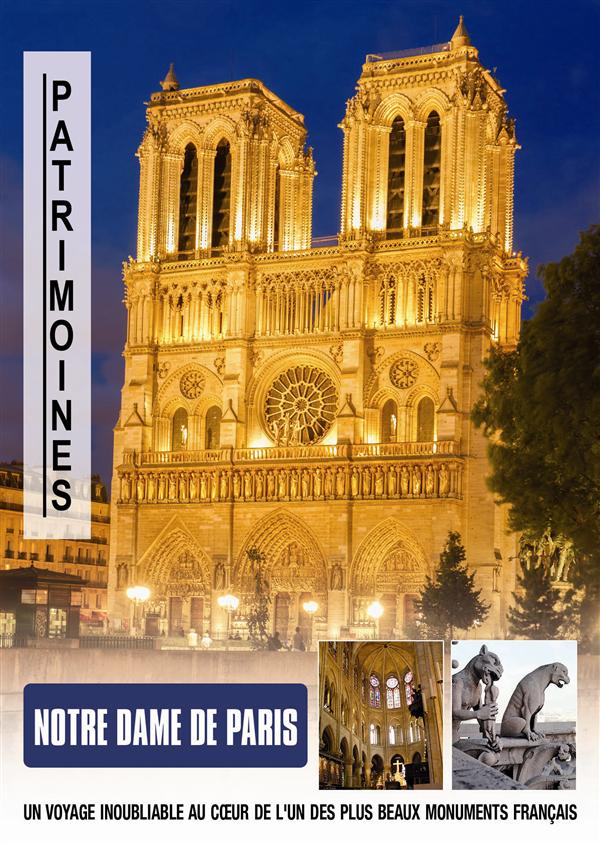 Notre Dame De Paris [DVD] - flash vidéo