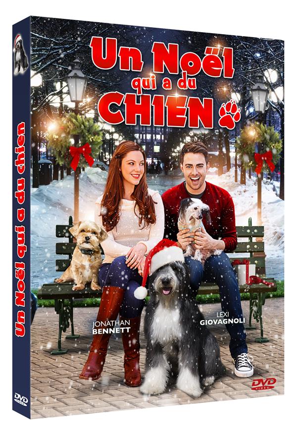 Un Noël qui a du chien [DVD] - flash vidéo