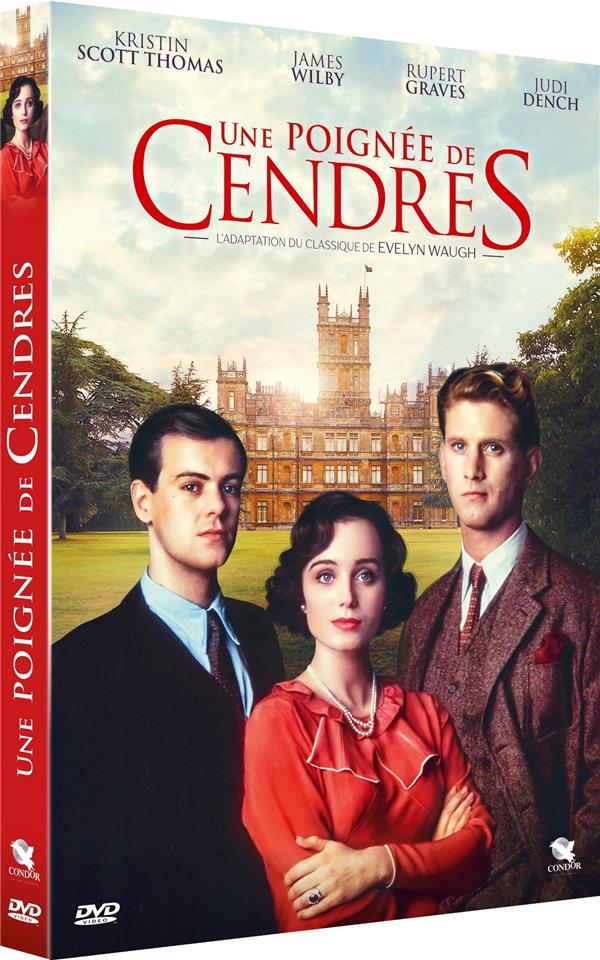 Une poignée de cendres [DVD] - flash vidéo