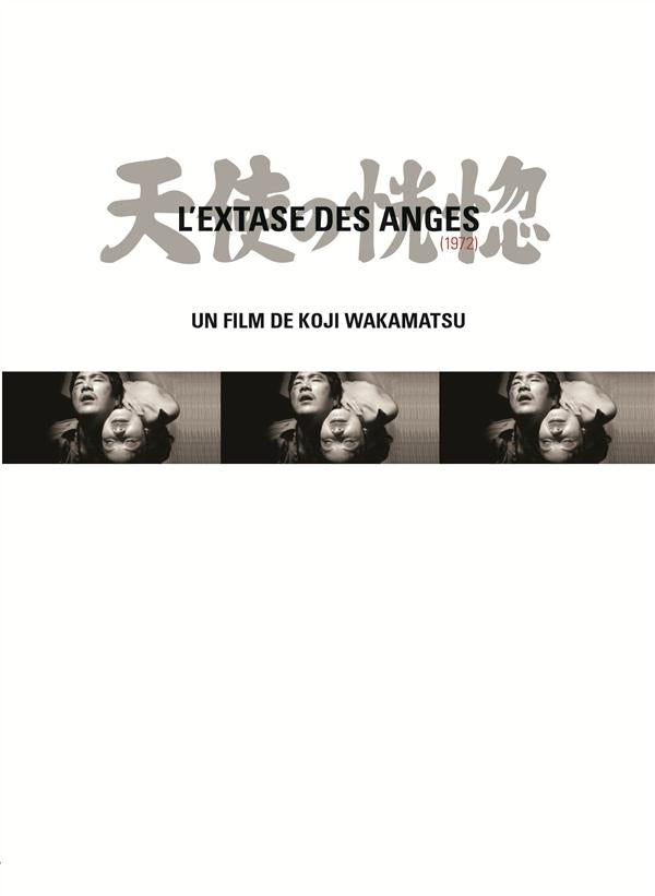 L'extase Des Anges [DVD] - flash vidéo