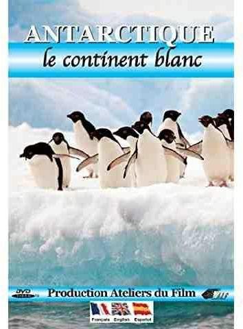 Antartique : le continent blanc [DVD] - flash vidéo