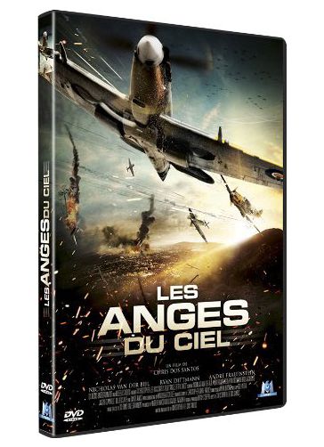 Les Anges Du Ciel [DVD] - flash vidéo