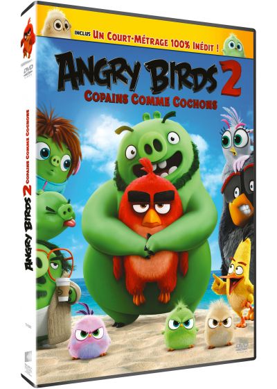 Angry Birds 2 : Copains comme cochons [DVD à la location]
