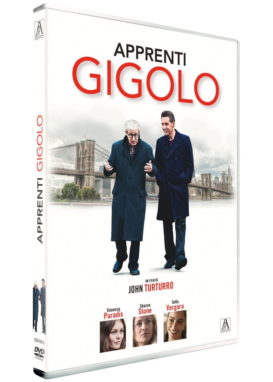 Apprenti Gigolo [DVD Occasion] - flash vidéo