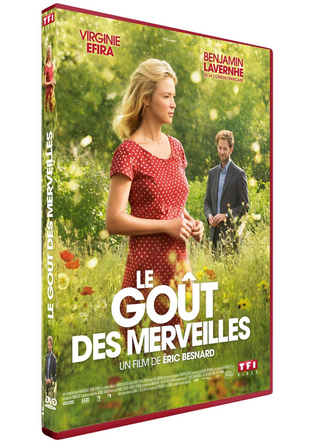 Le Goût des Merveilles [DVD à la location] - flash vidéo