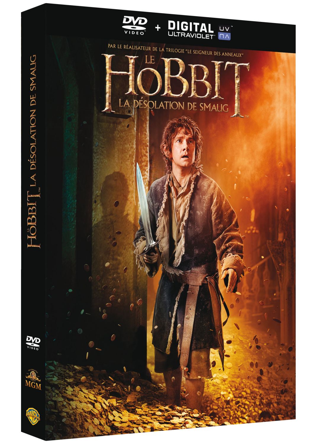 Le Hobbit : La Désolation de Smaug [DVD à la Location] - flash vidéo