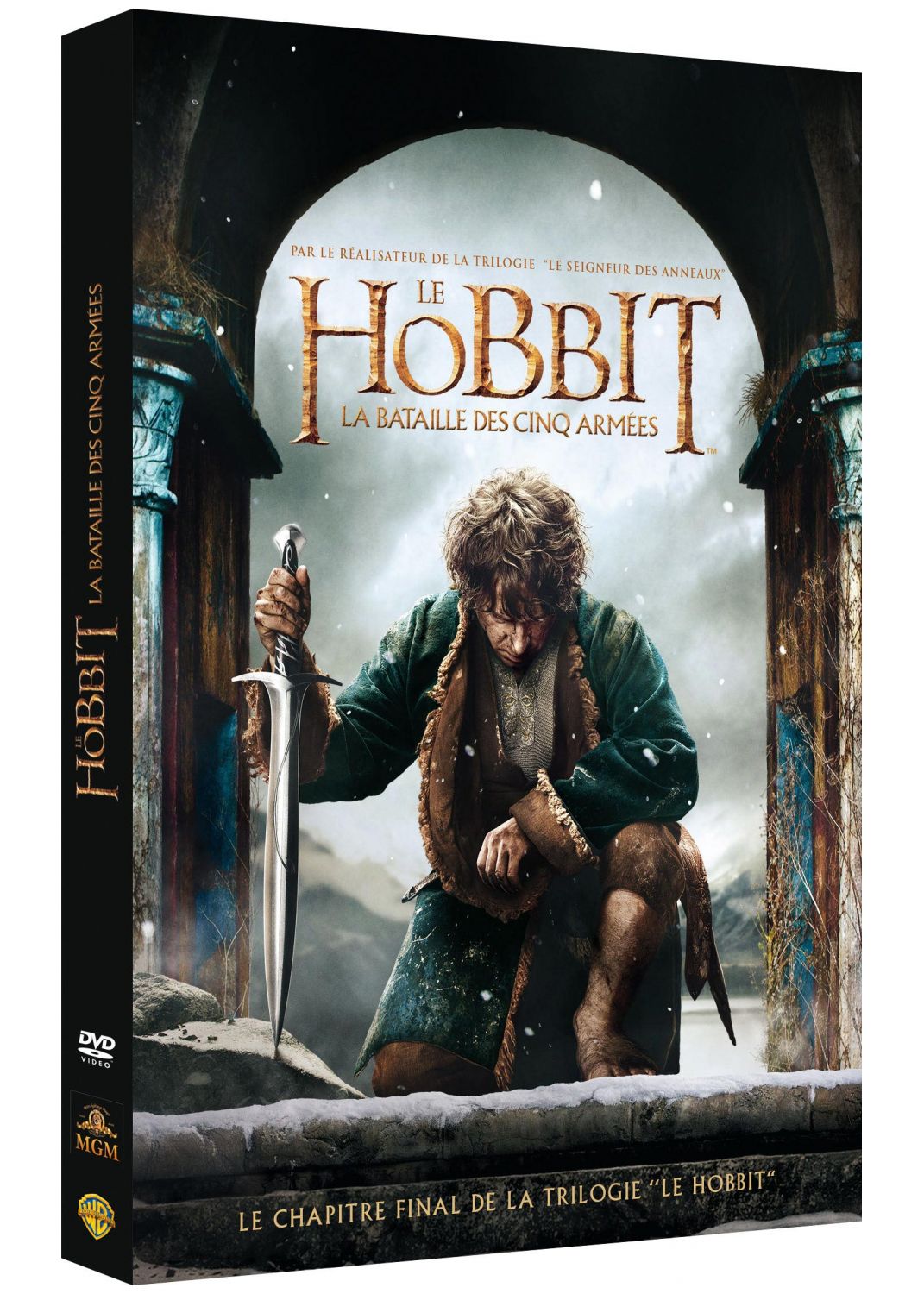 Le Hobbit : La Bataille des Cinq Armées [DVD à la Location] - flash vidéo