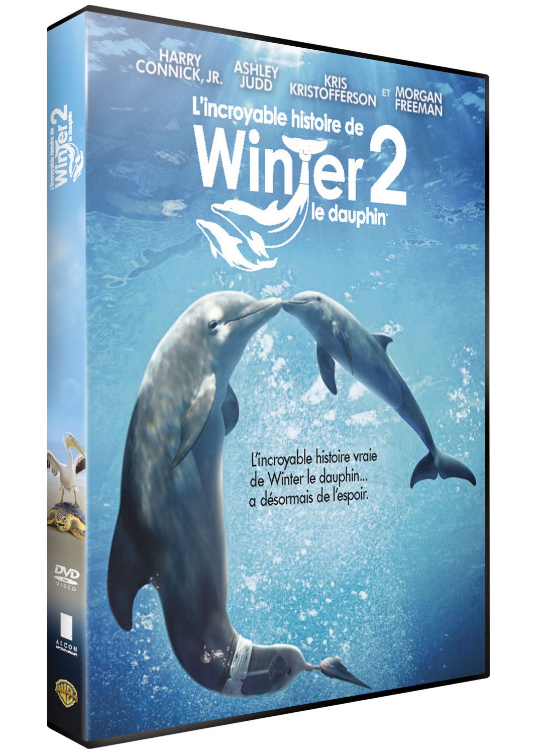 L'Incroyable Histoire de Winter le Dauphin 2 [DVD à la location] - flash vidéo