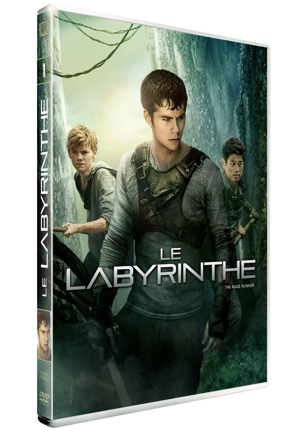 Le Labyrinthe [DVD à la Location] - flash vidéo